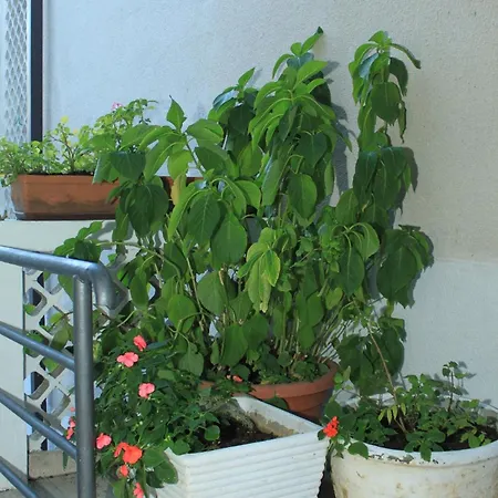 With Parking Space Rabac, Labin - 7465 Appartement